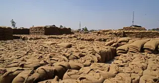 মধ্যপ্রাচ্যের সংঘাতে জ্বালানি ব্যয় বৃদ্ধিতে বিশ্বে খাদ্যদাম ঊর্ধ্বমুখী: এফএও